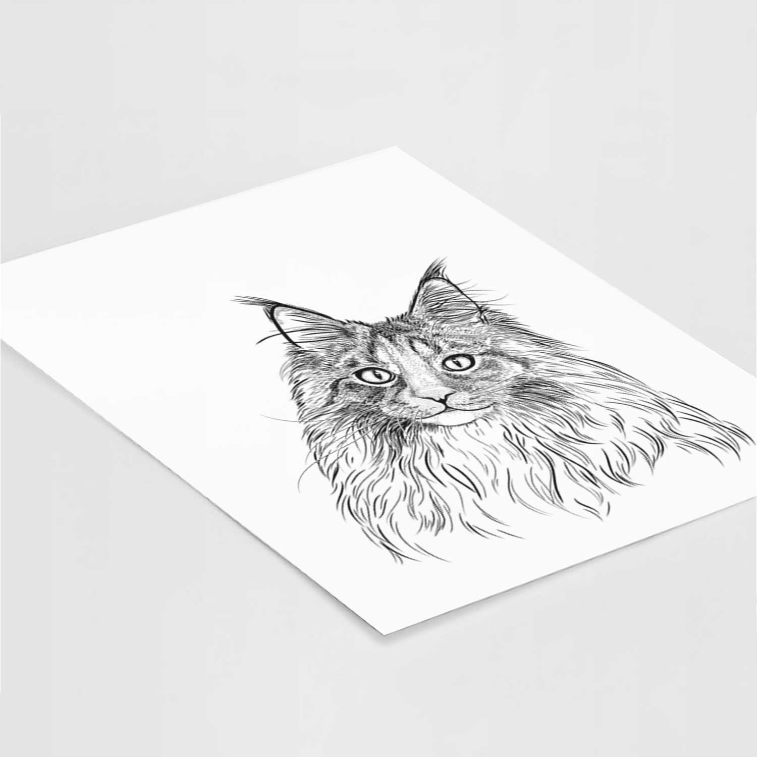 Kiki the Maine Coon Cat Art Print