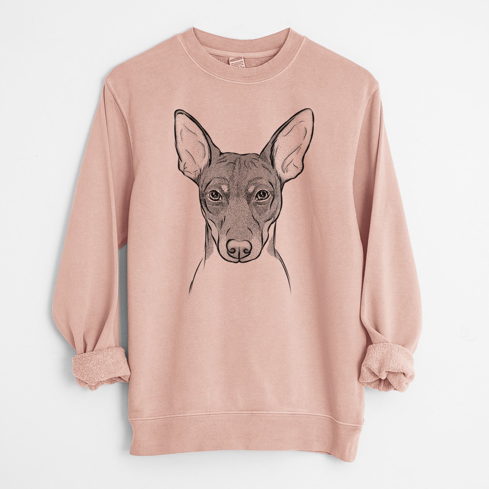 Bare Knox the Rat Terrier - Unisex Pigment Dyed Crew Sweatshirt