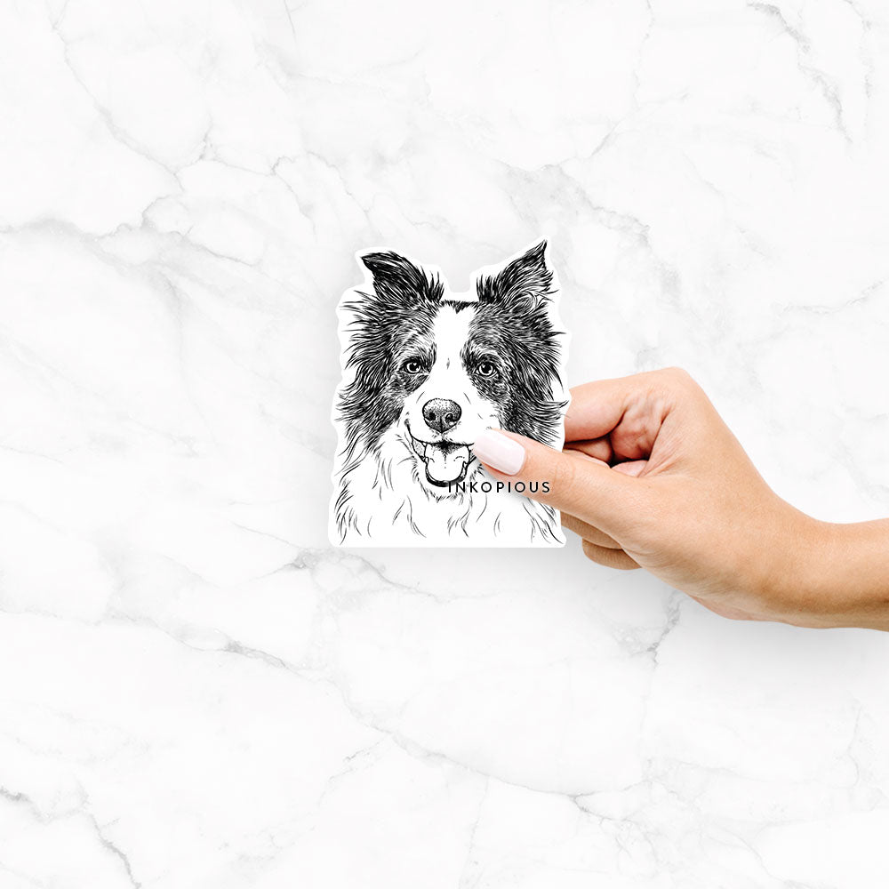 Hand-drawn sketch of Kylee the Border Collie on a decal sticker