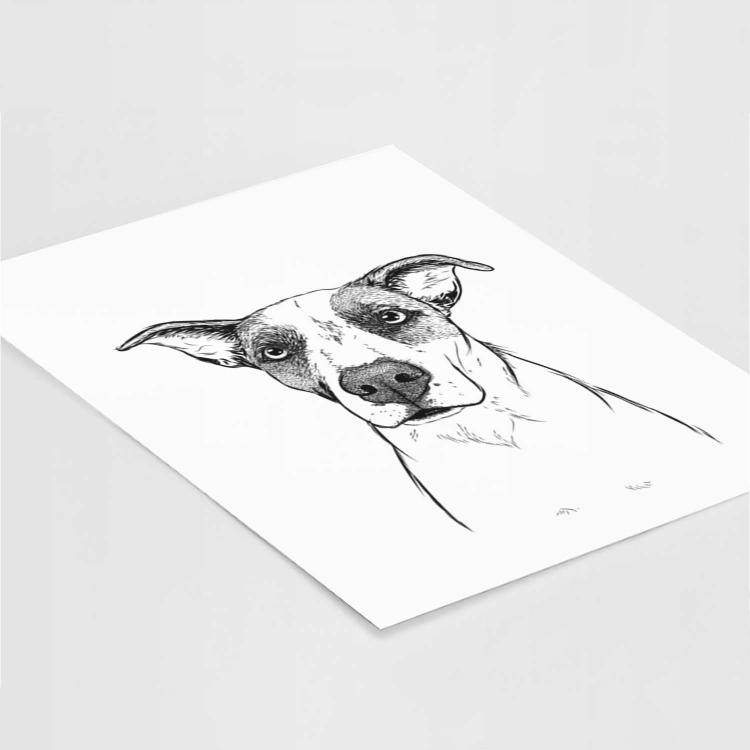 Lily the Mixed Breed Art Print