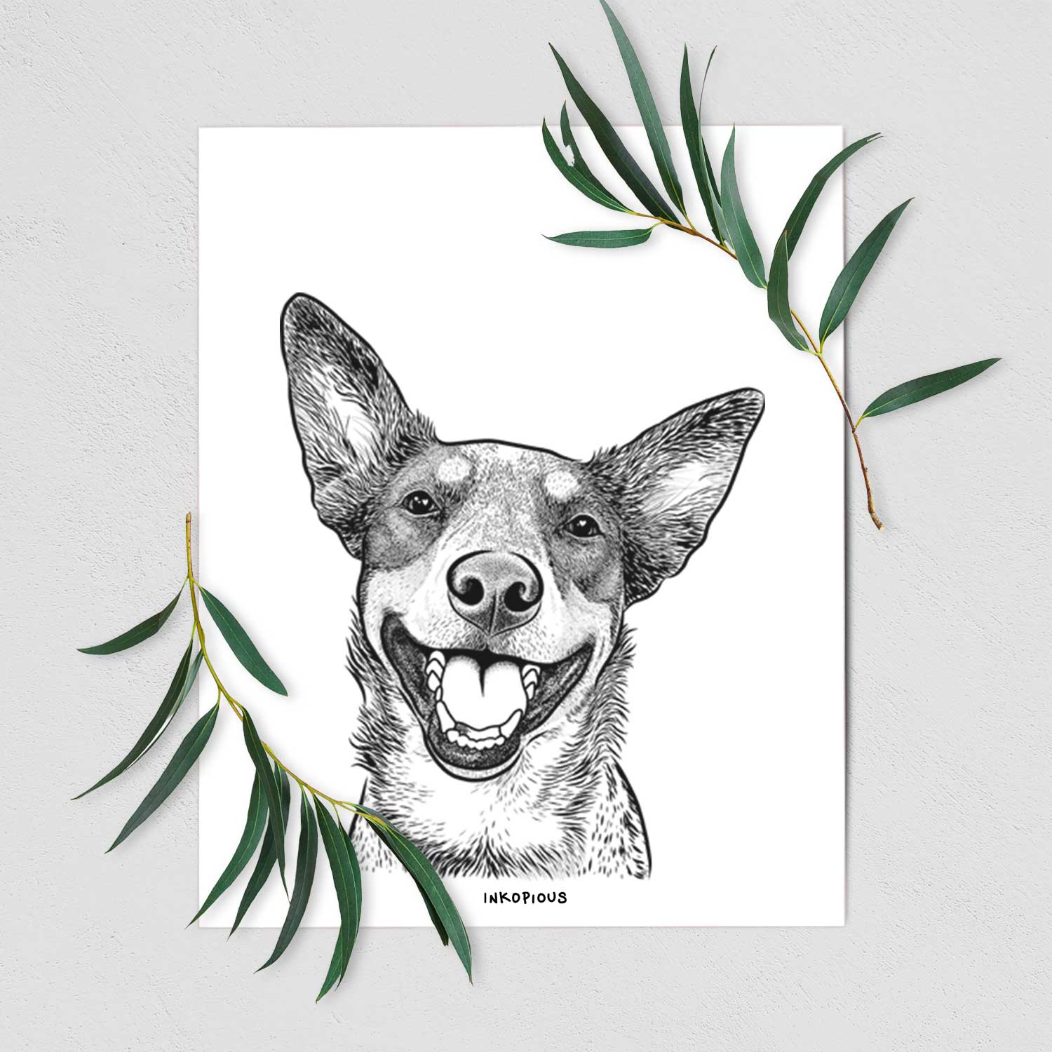 Lily the Australian Cattle Dog Art Print