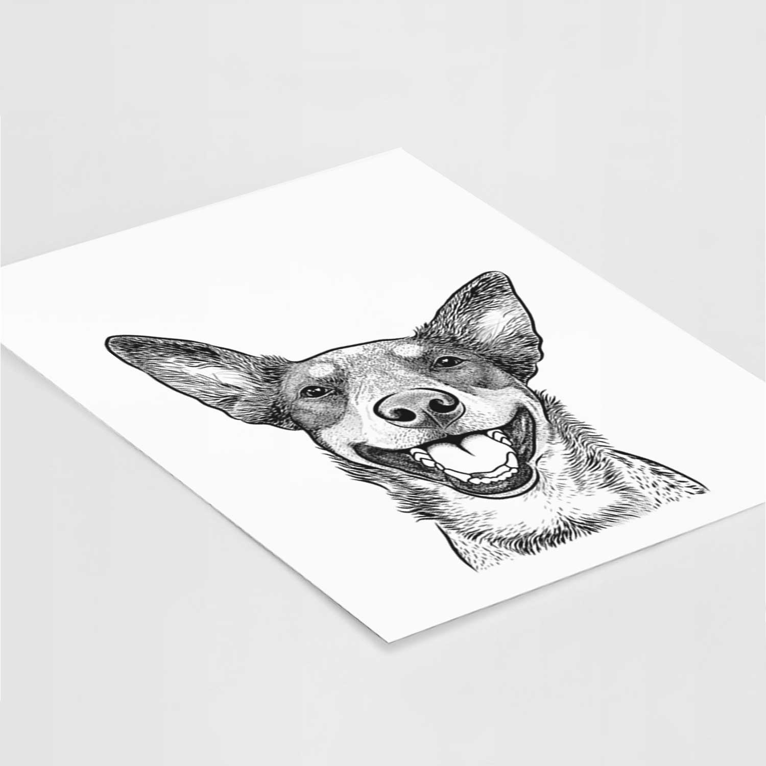 Lily the Australian Cattle Dog Art Print