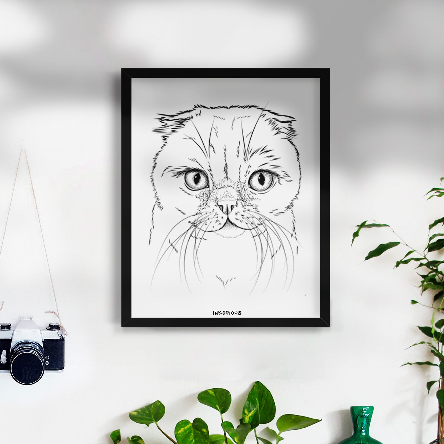 Lina the Exotic Fold Cat Art Print
