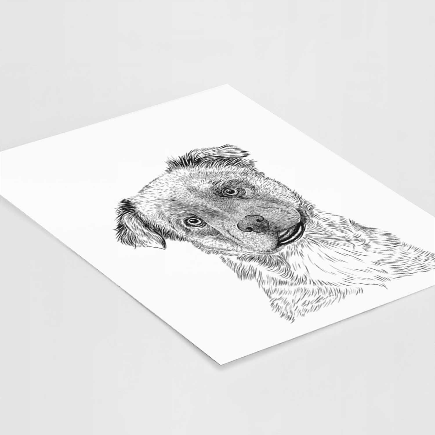 Loki Bear the Australian Cattle Dog Mix Art Print