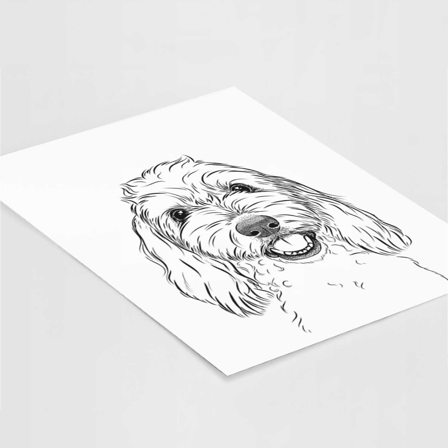 Louie the Coton de Tulear Art Print