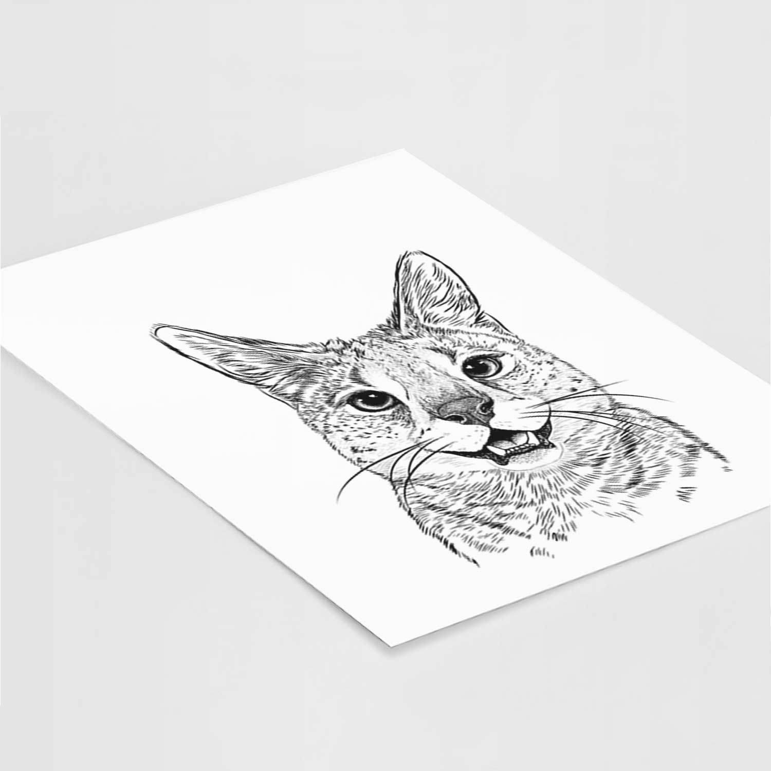 Lucky the Serval Cat Art Print