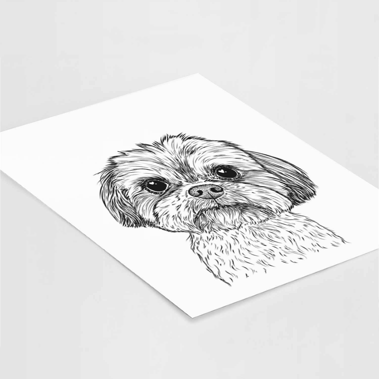 Lucy the Shorkie Art Print