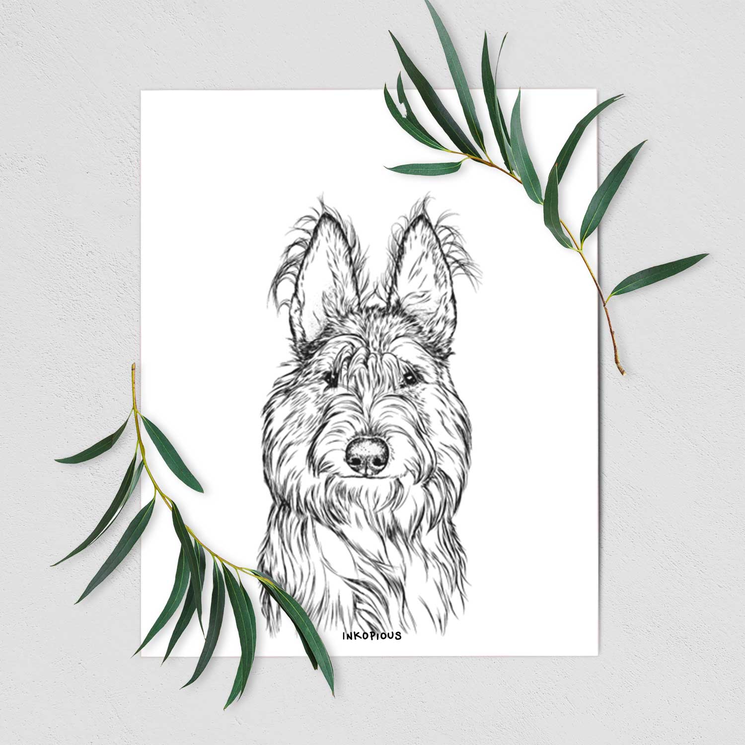Luna the Berger Picard Art Print