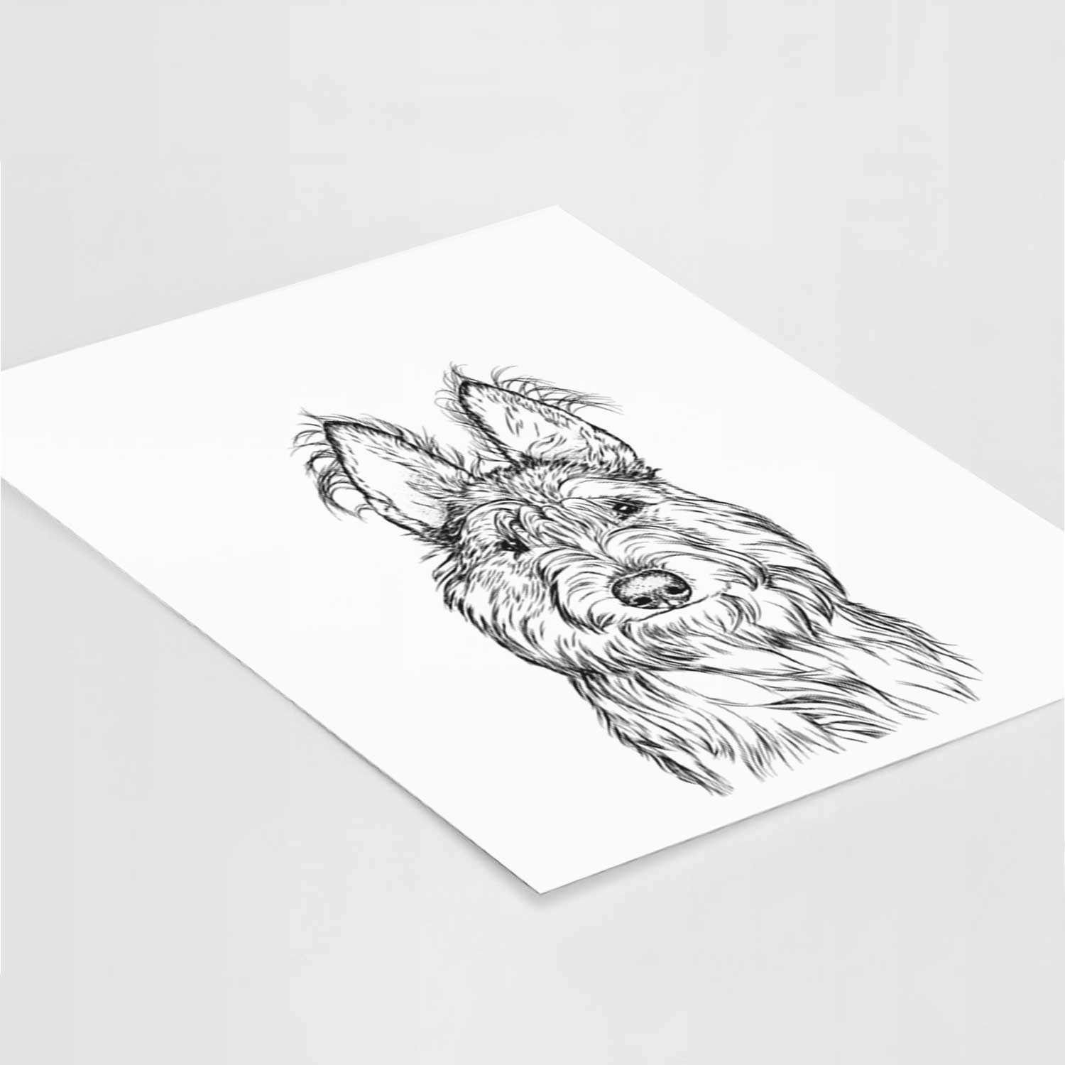 Luna the Berger Picard Art Print