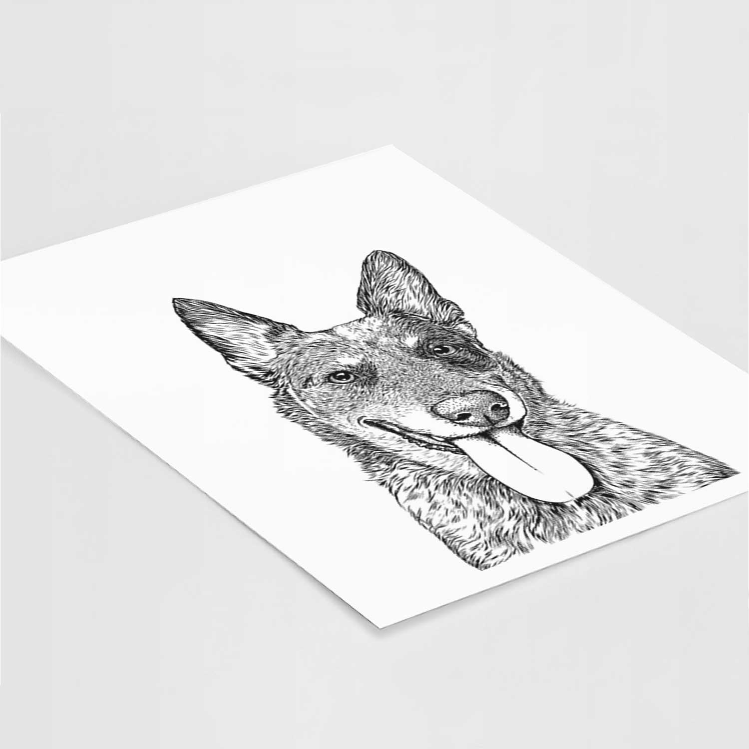 Madison the Blue Heeler Art Print