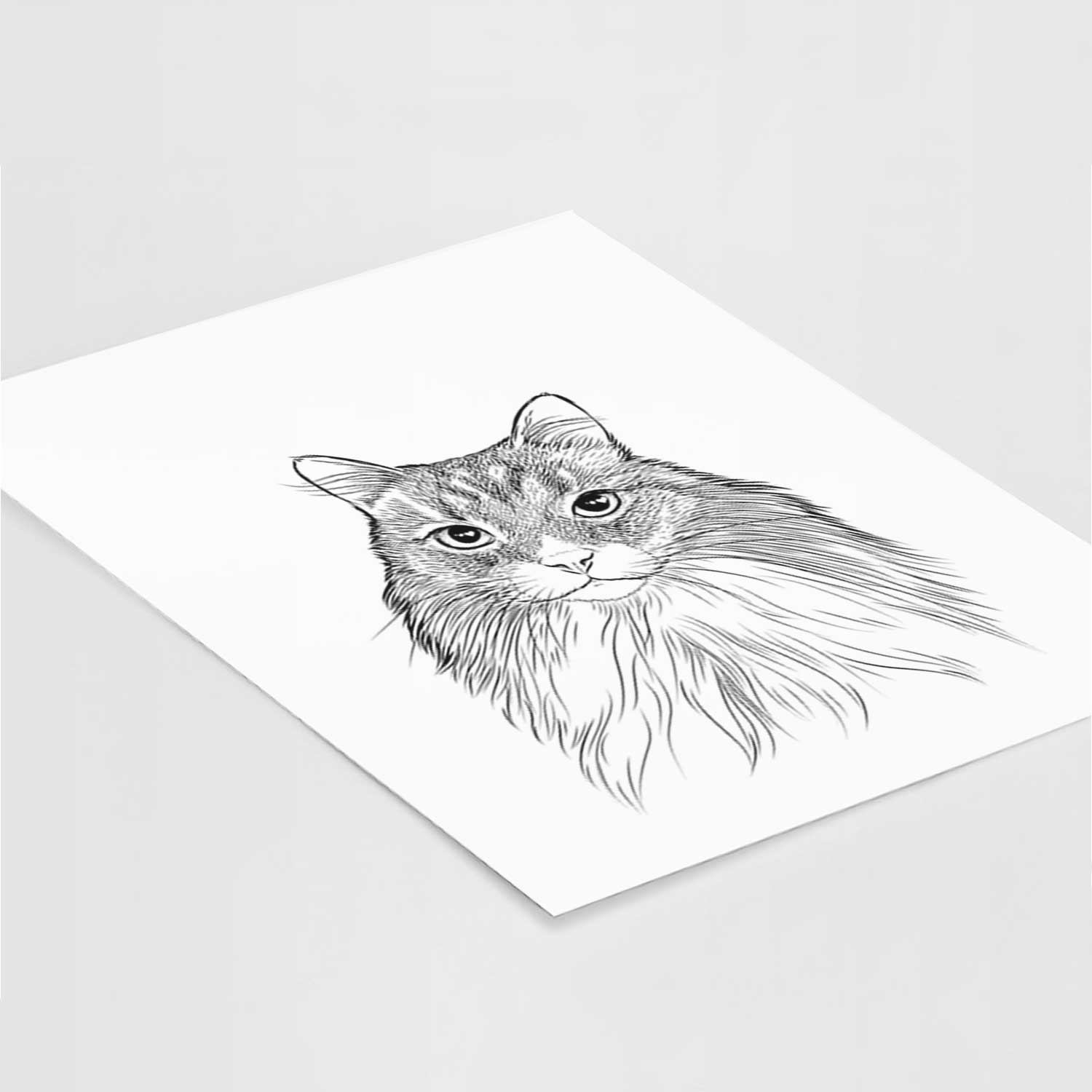 Maks the Siberian Cat Art Print