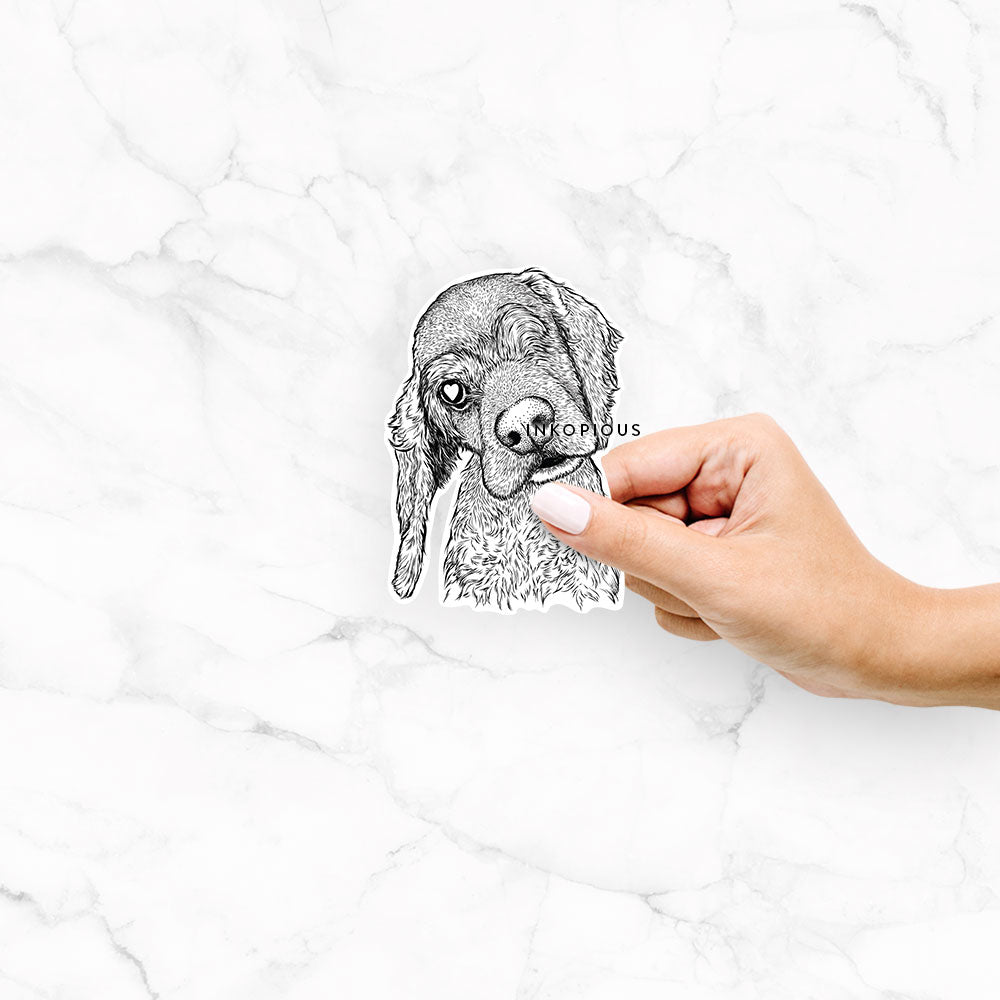 Hand-drawn sketch of Mambo #5 the Cocker Spaniel on a decal sticker