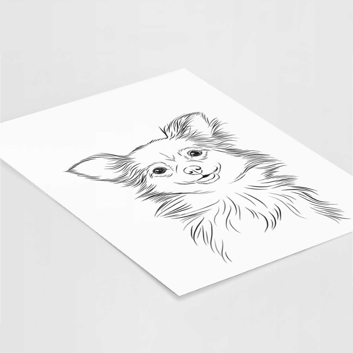 Marzi the Long Haired Chihuahua Art Print