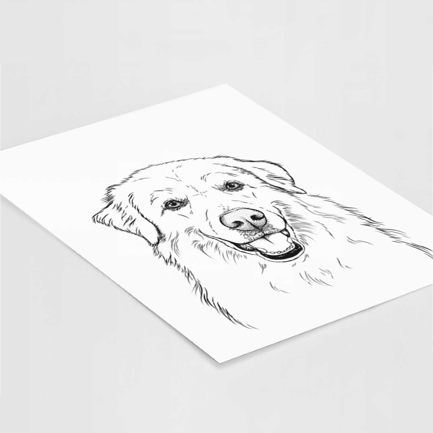 Meg the Great Pyrenees Art Print