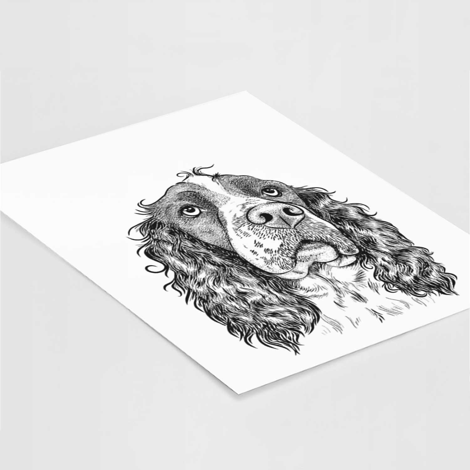 Millie Mae the English Springer Spaniel Art Print