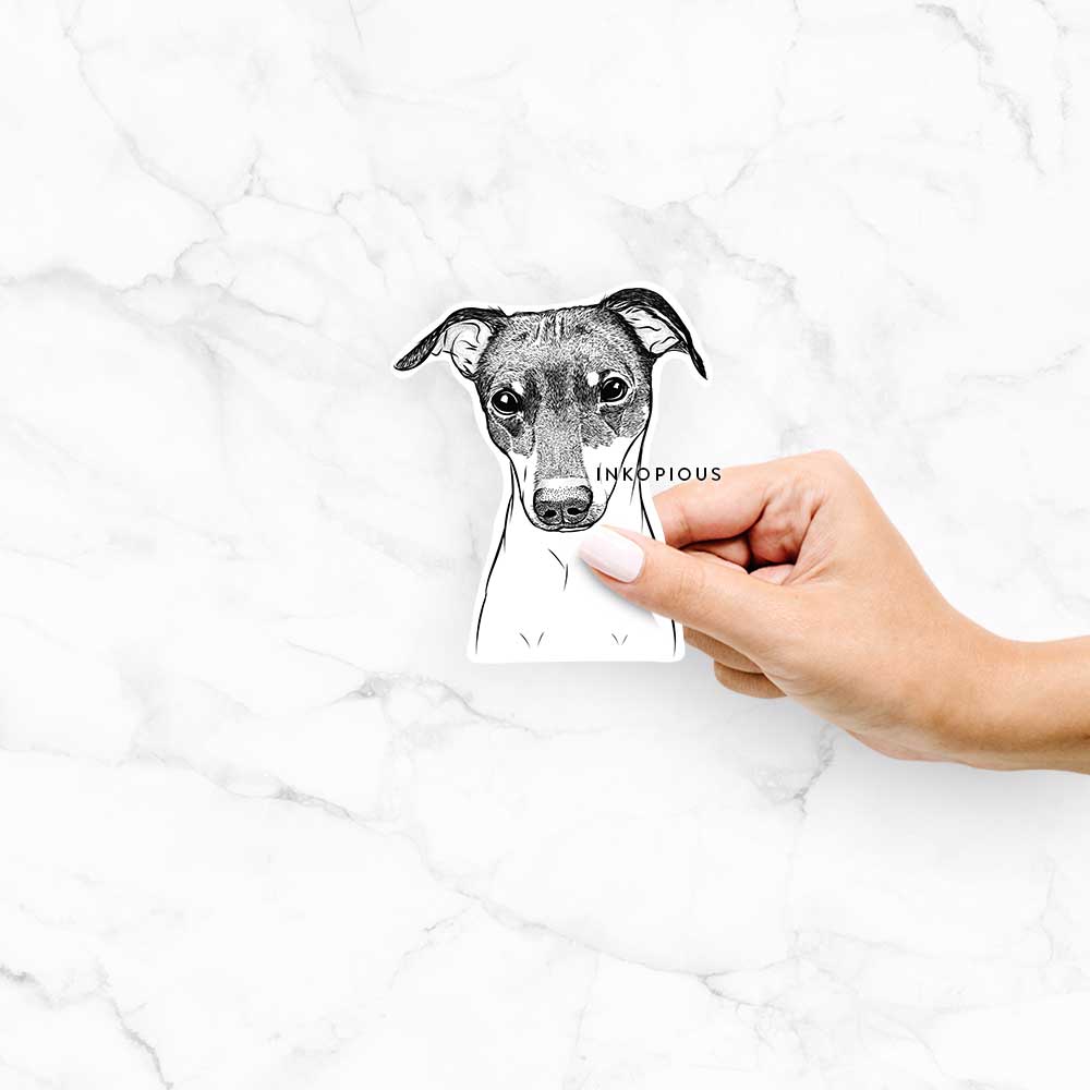 Hand-drawn sketch of Momo the Japanese Terrier on a decal sticker