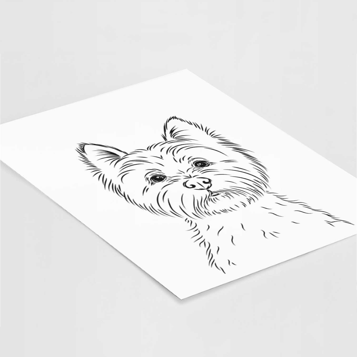 Murphy the West Highland Terrier Art Print
