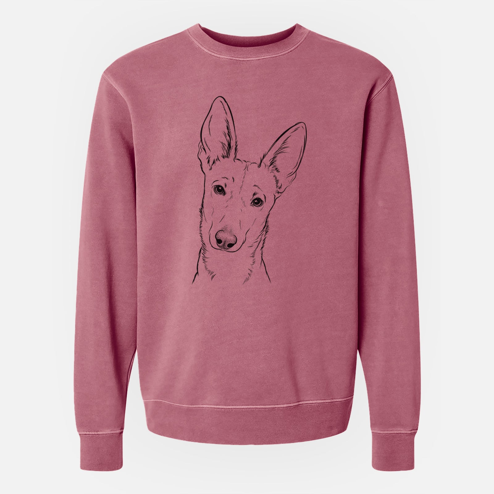 Bare Nala the Carolina Dog - Unisex Pigment Dyed Crew Sweatshirt