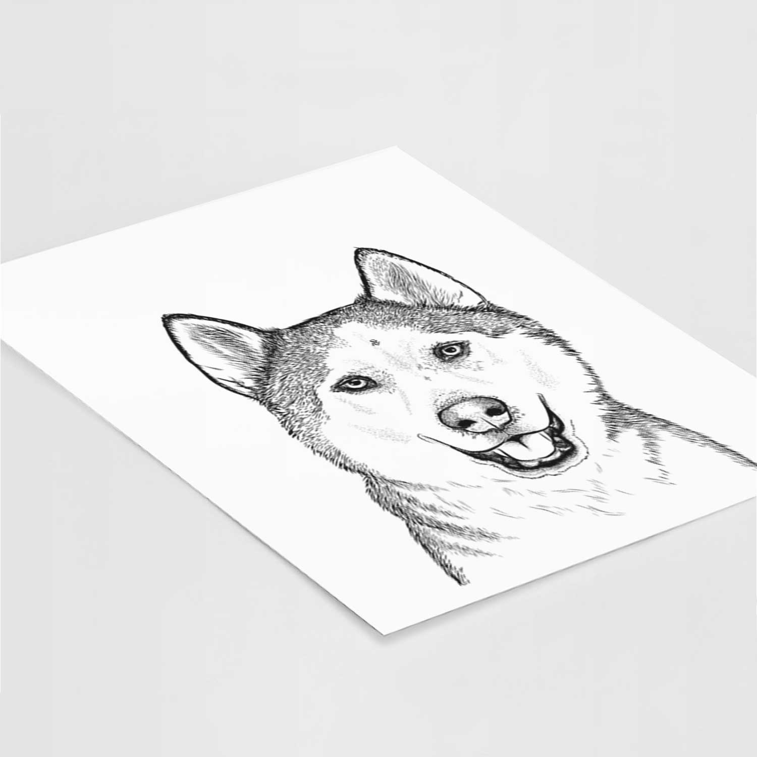 Nika the Siberian Husky Art Print
