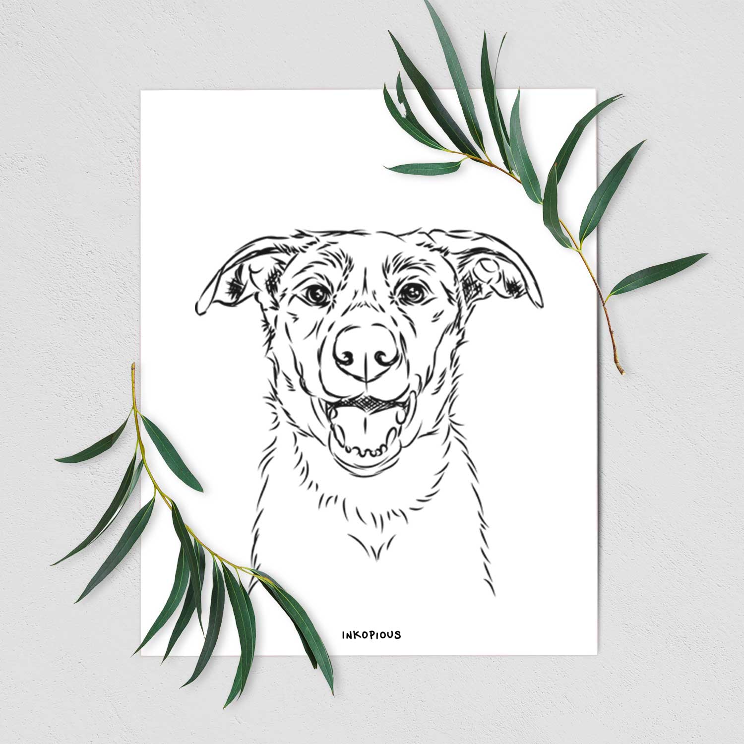 Noah the Smooth Coat Border Collie Art Print