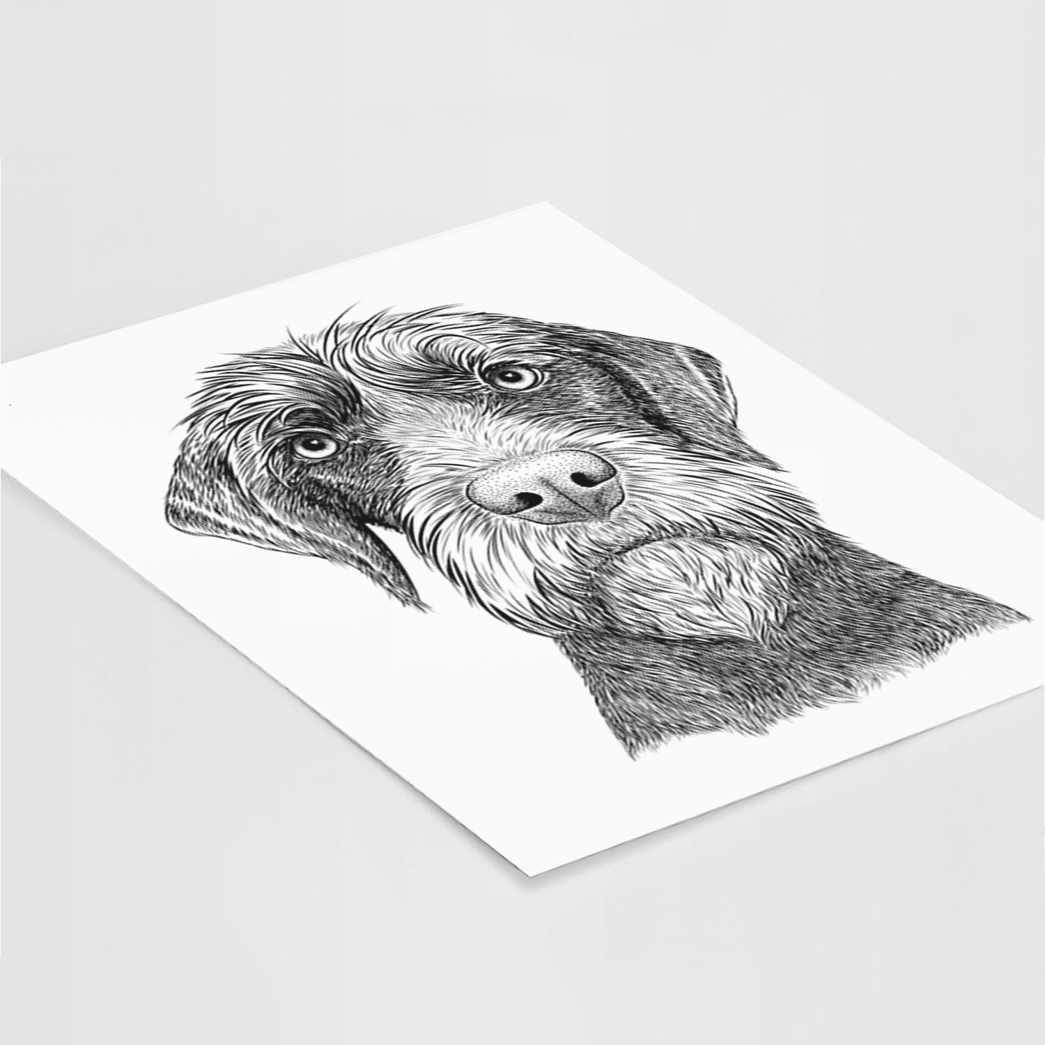 Oakley the Pudelpointer Art Print