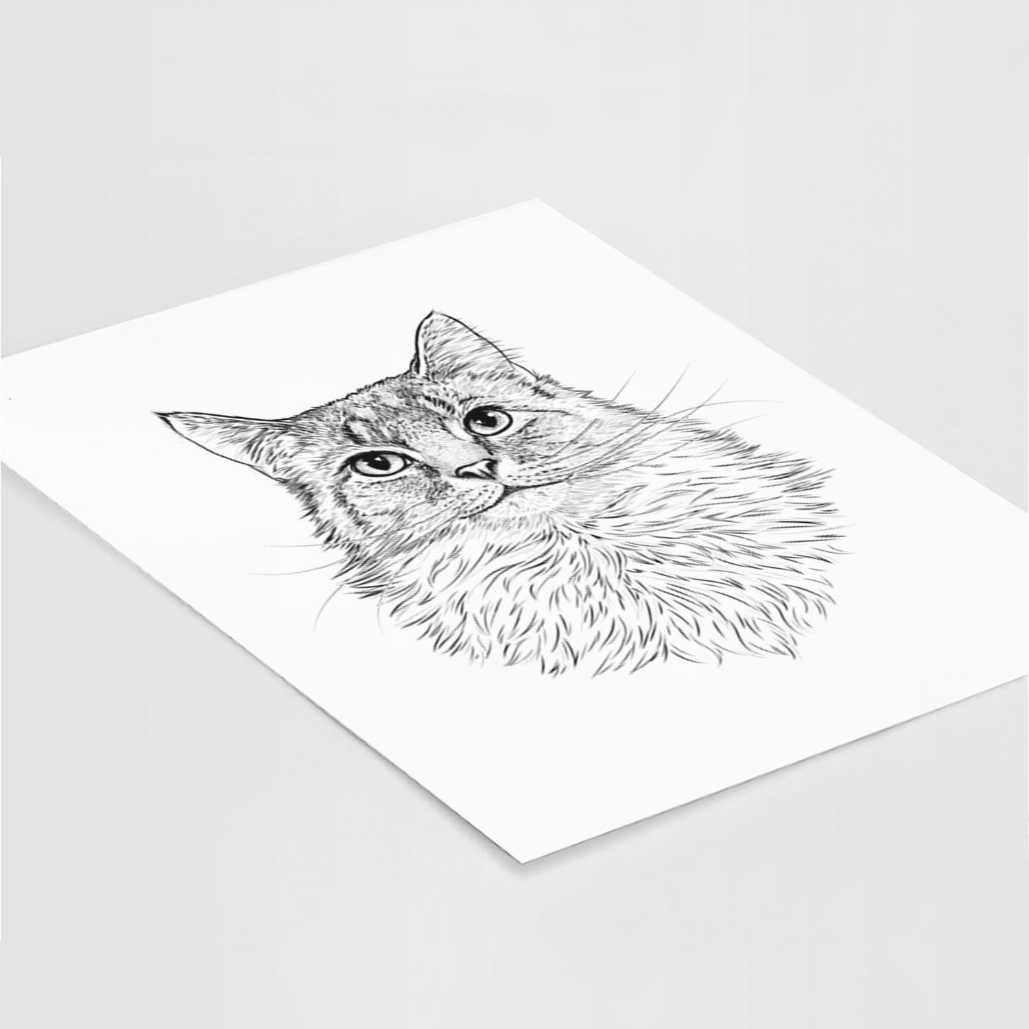 Olive the Cat Art Print