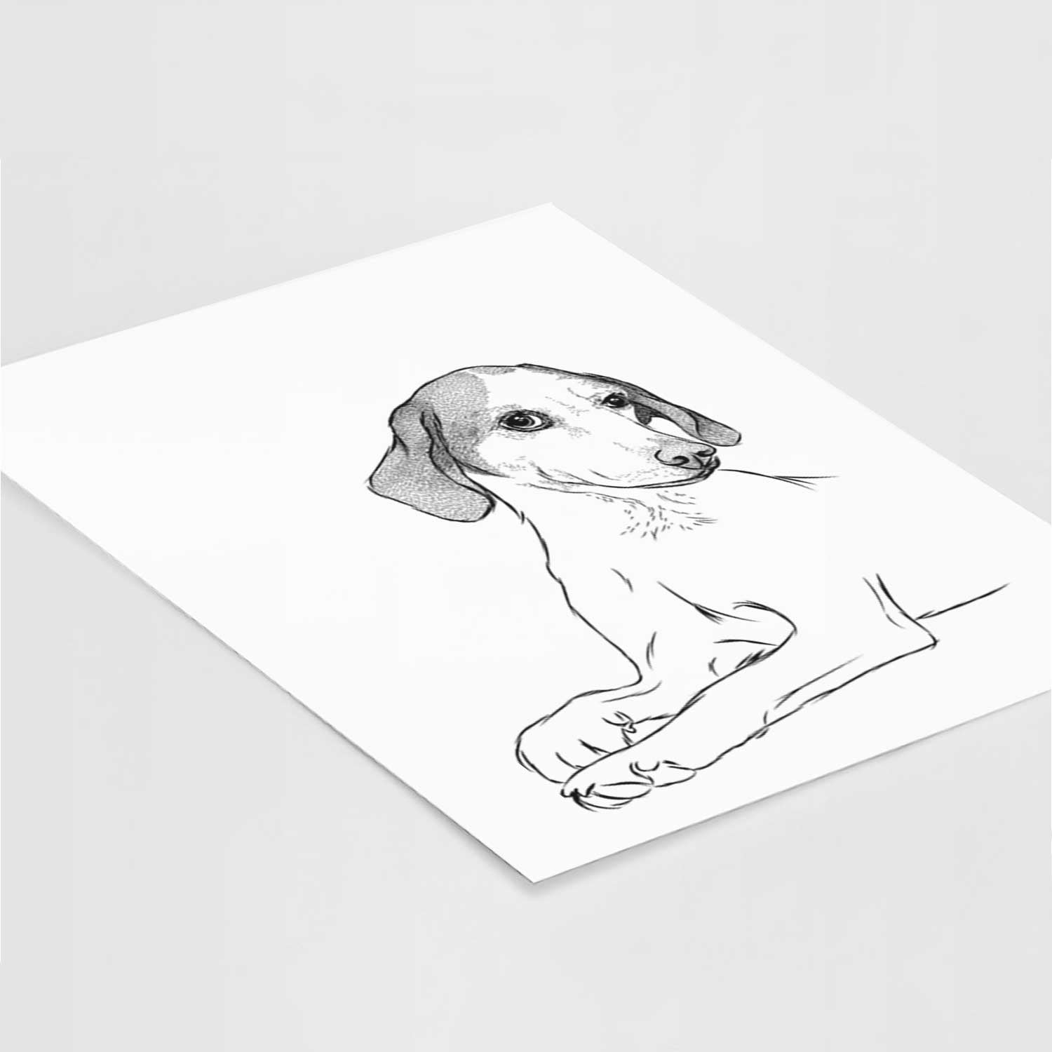 Opie the Foxhound Art Print
