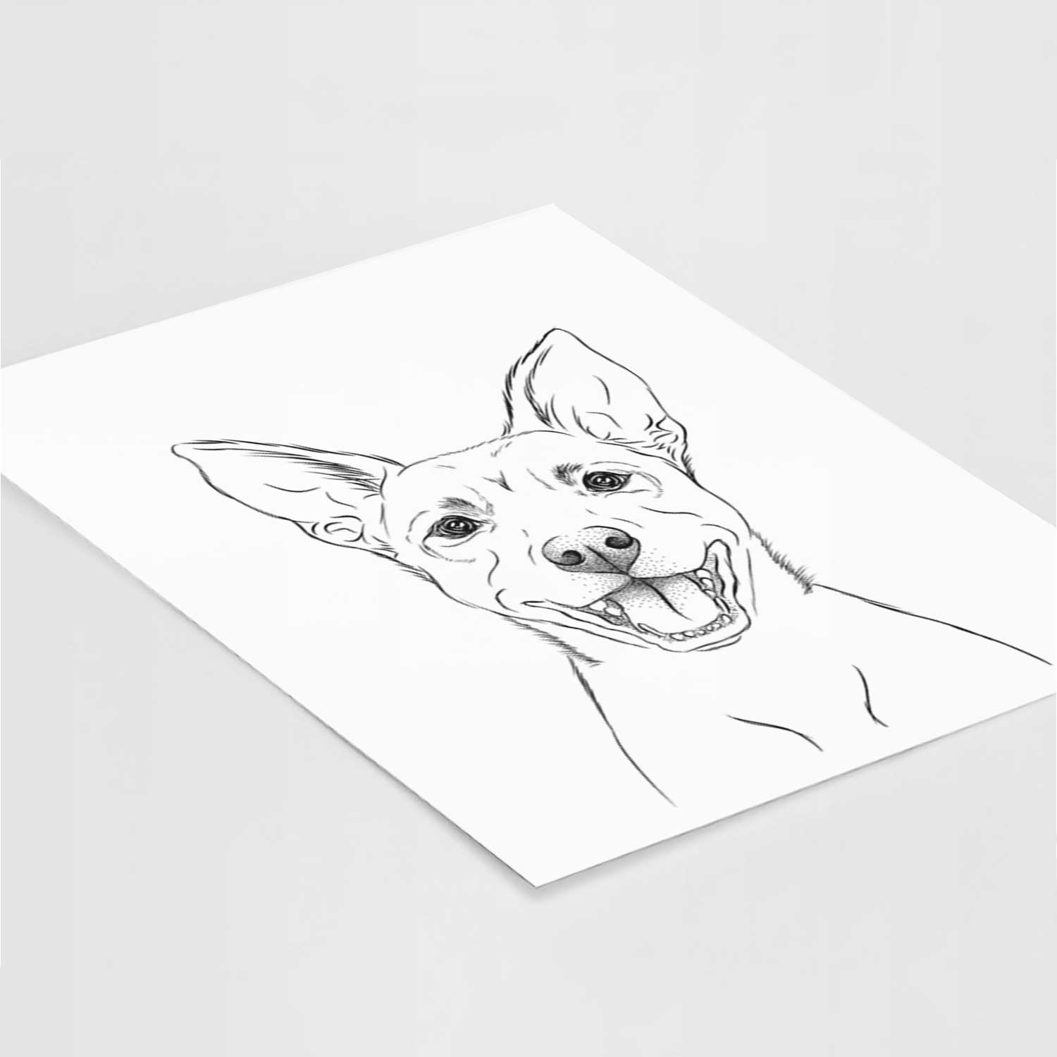 Orange the Carolina Dog Art Print