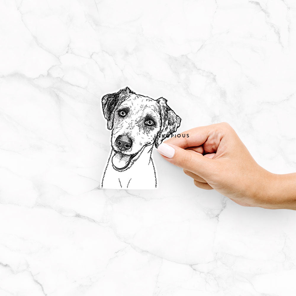 Hand-drawn sketch of Palm Palm the Aussiedoddle on a decal sticker