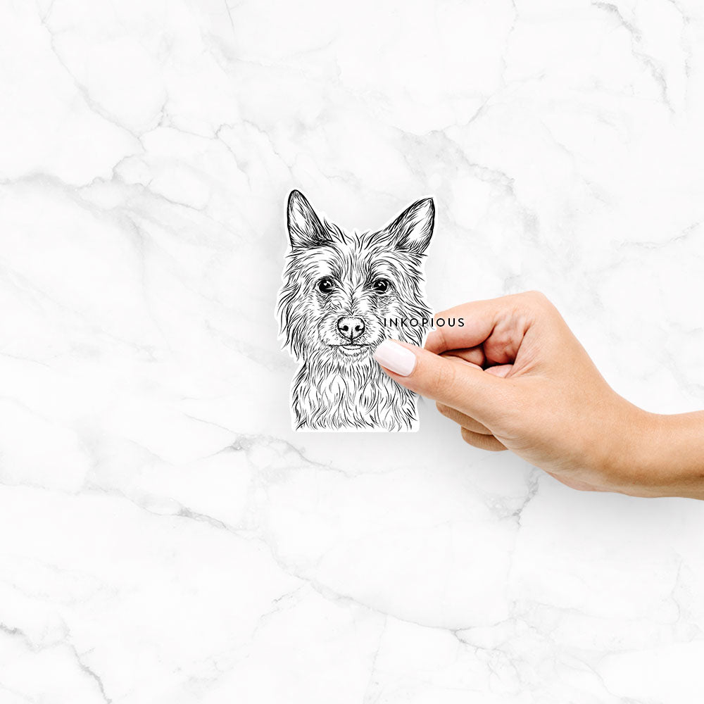 Hand-drawn sketch of Paulo the Portuguese Podengo on a decal sticker