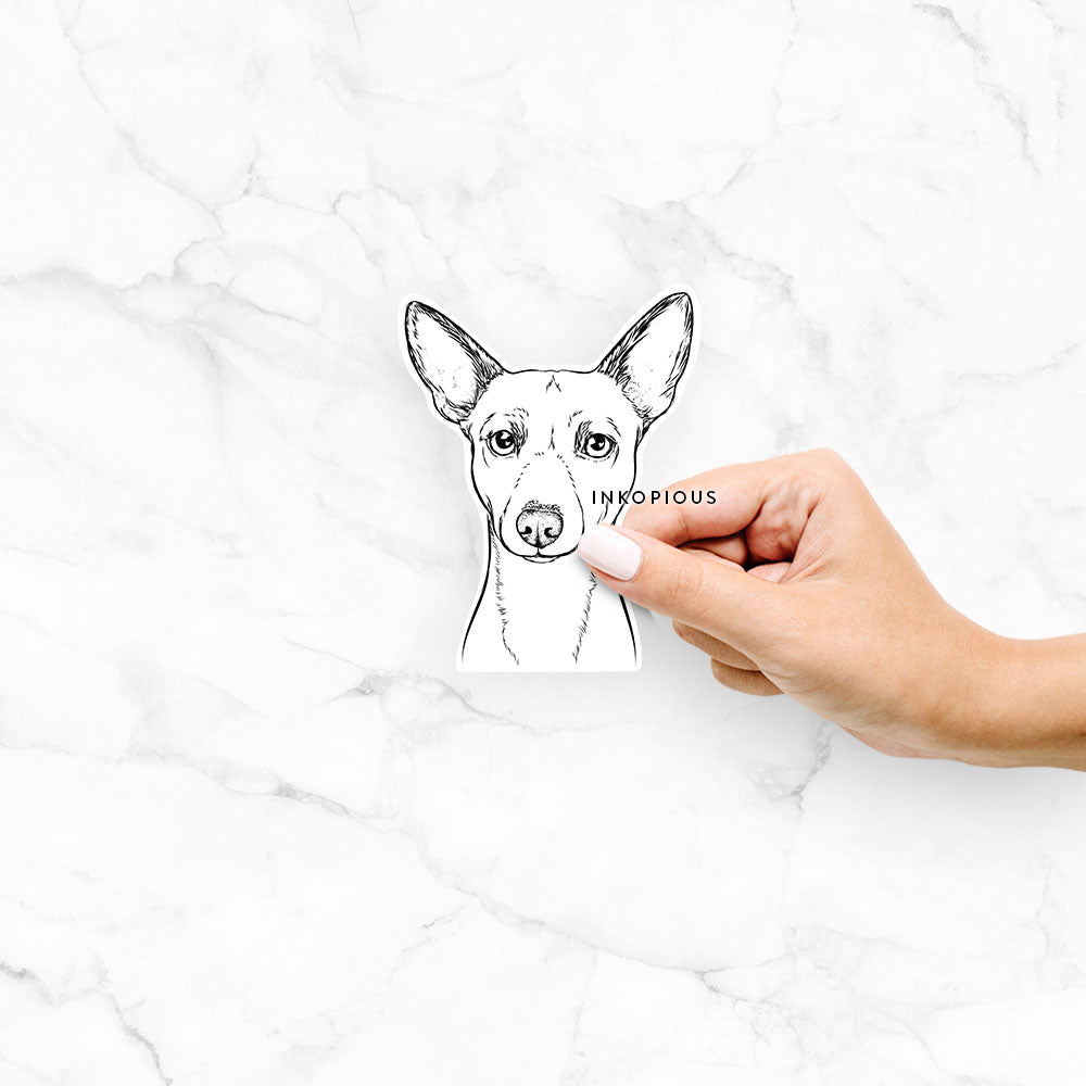 Hand-drawn sketch of Perry the Portuguese Podengo on a decal sticker
