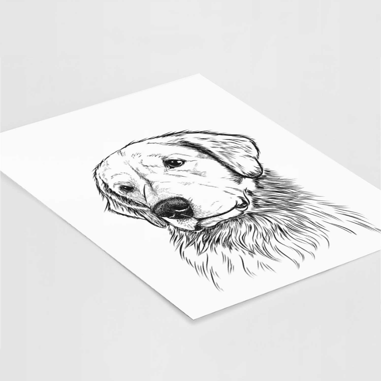 Quinn the Golden Retriever Art Print