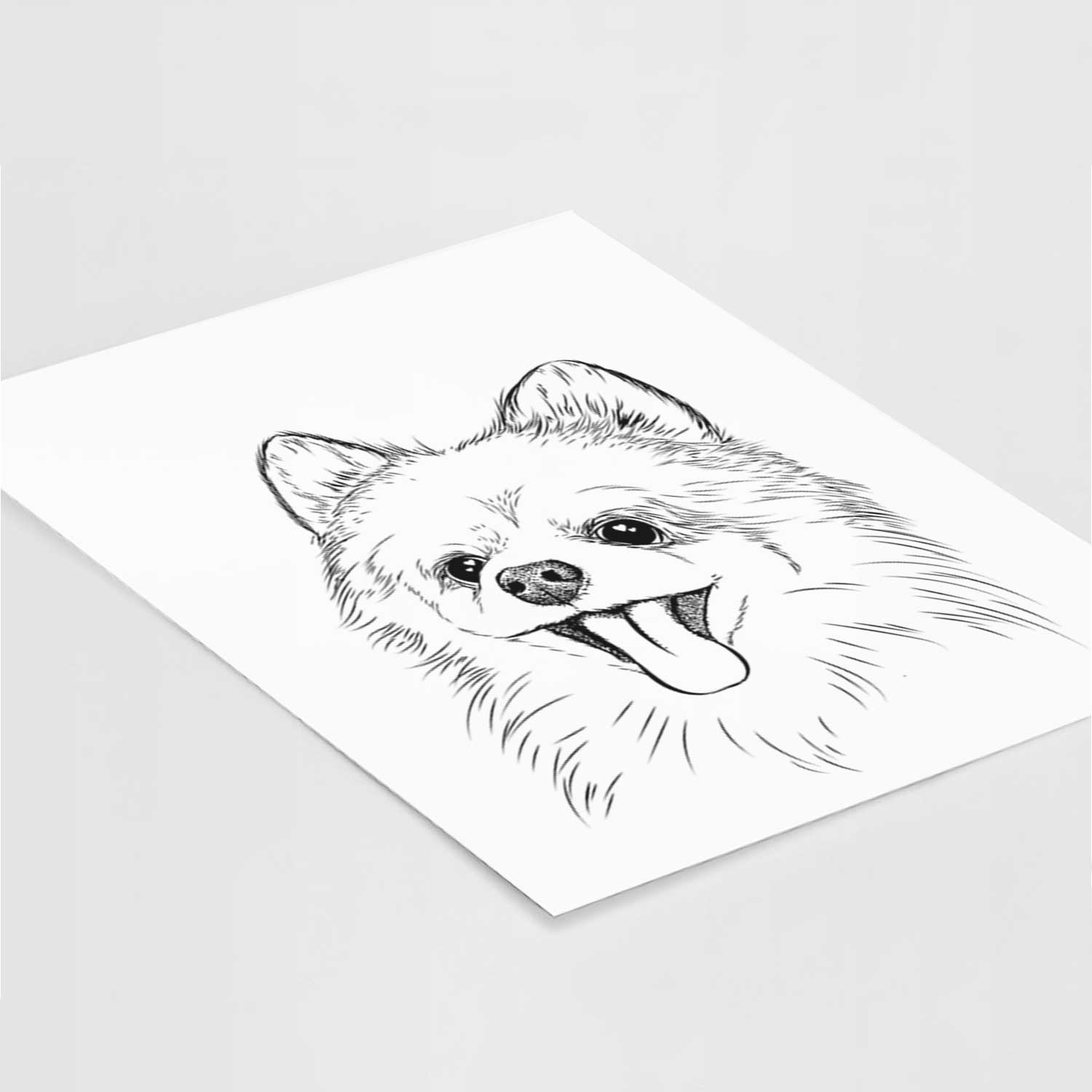 Quinn the Pomeranian Art Print