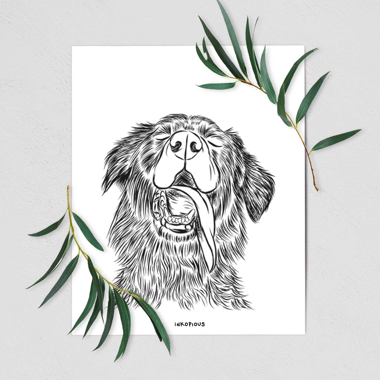 Quint the Mixed Breed Art Print