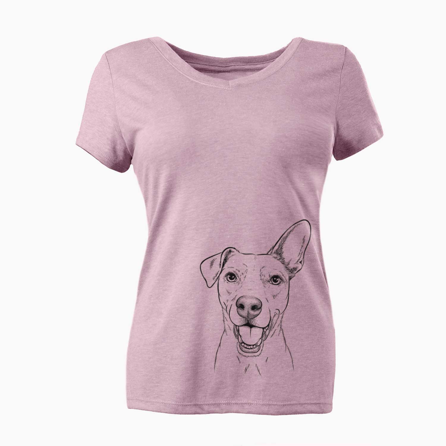Bare Radar the Pitbull Mix - Women's V-neck Shirt
