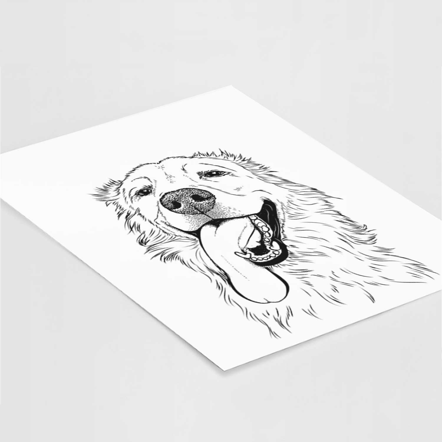 Ranger the Great Pyrenees Golden Retriever Mix Art Print