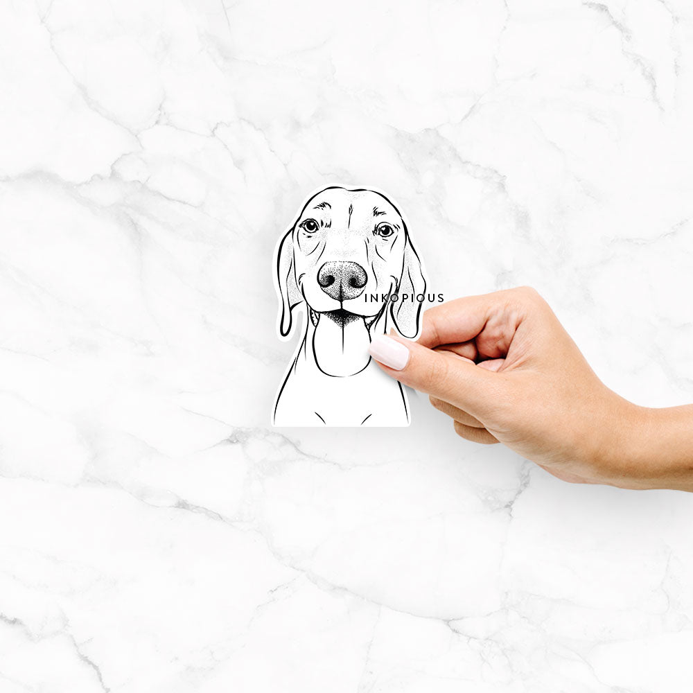 Hand-drawn sketch of Remington the Vizsla on a decal sticker