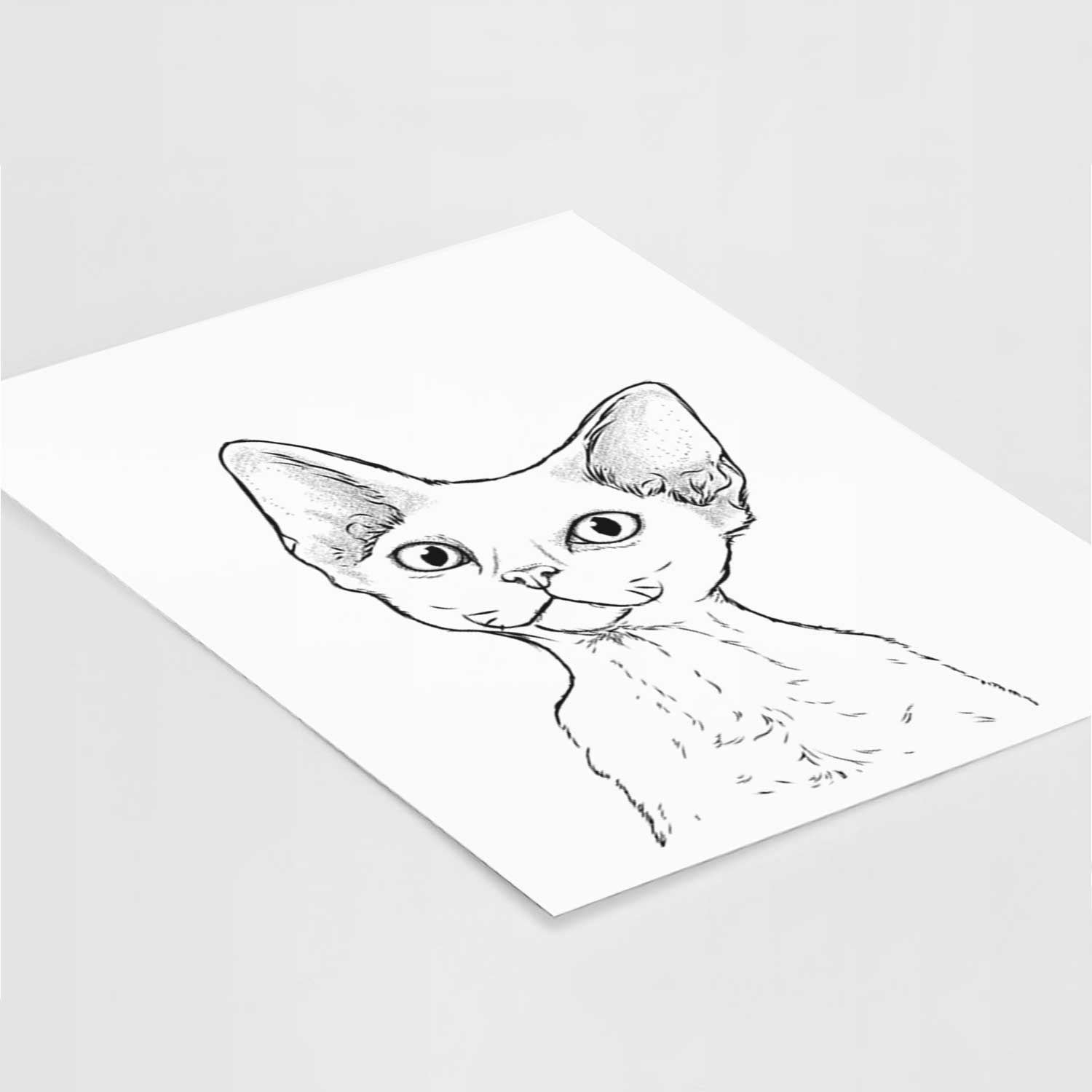 Ripley the Devon Rex Cat Art Print