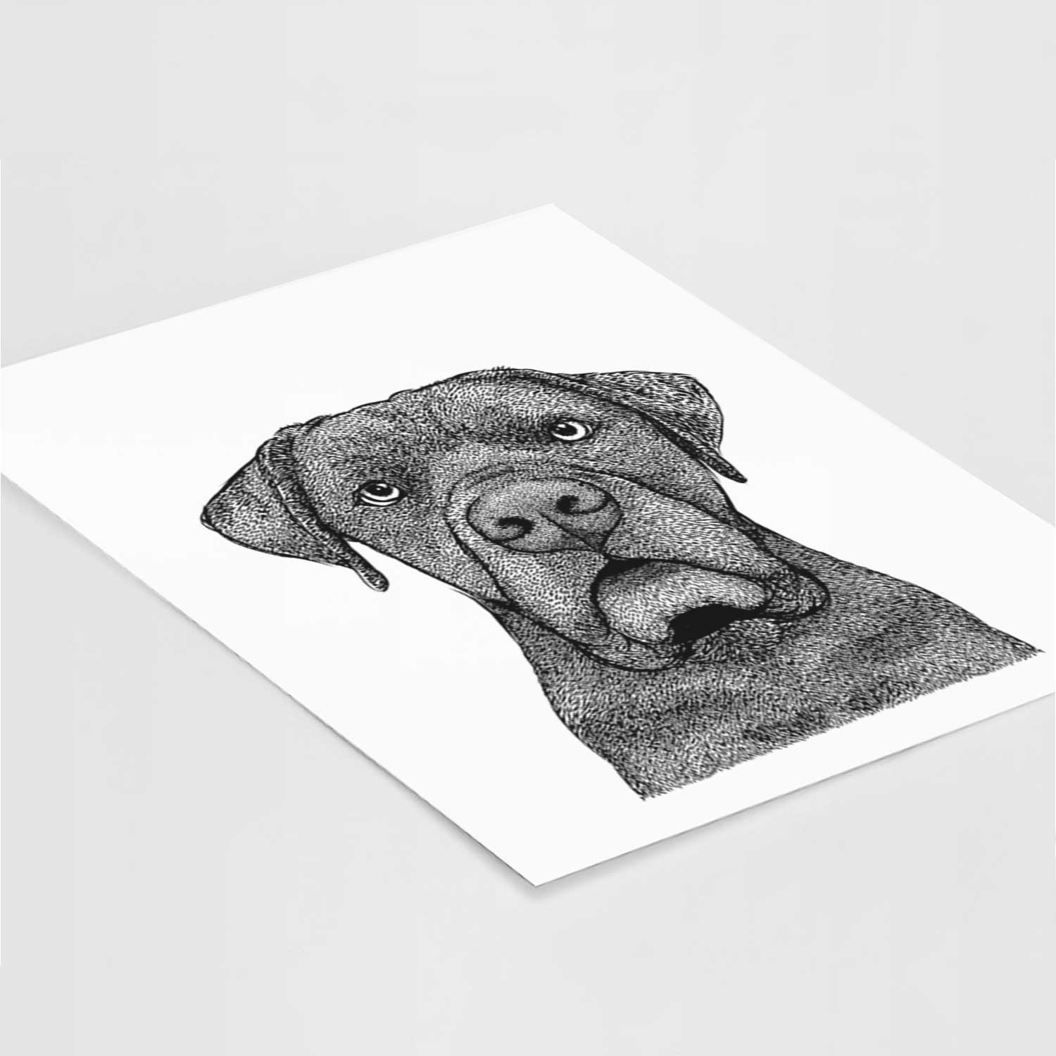 Rocco the Cane Corso Art Print