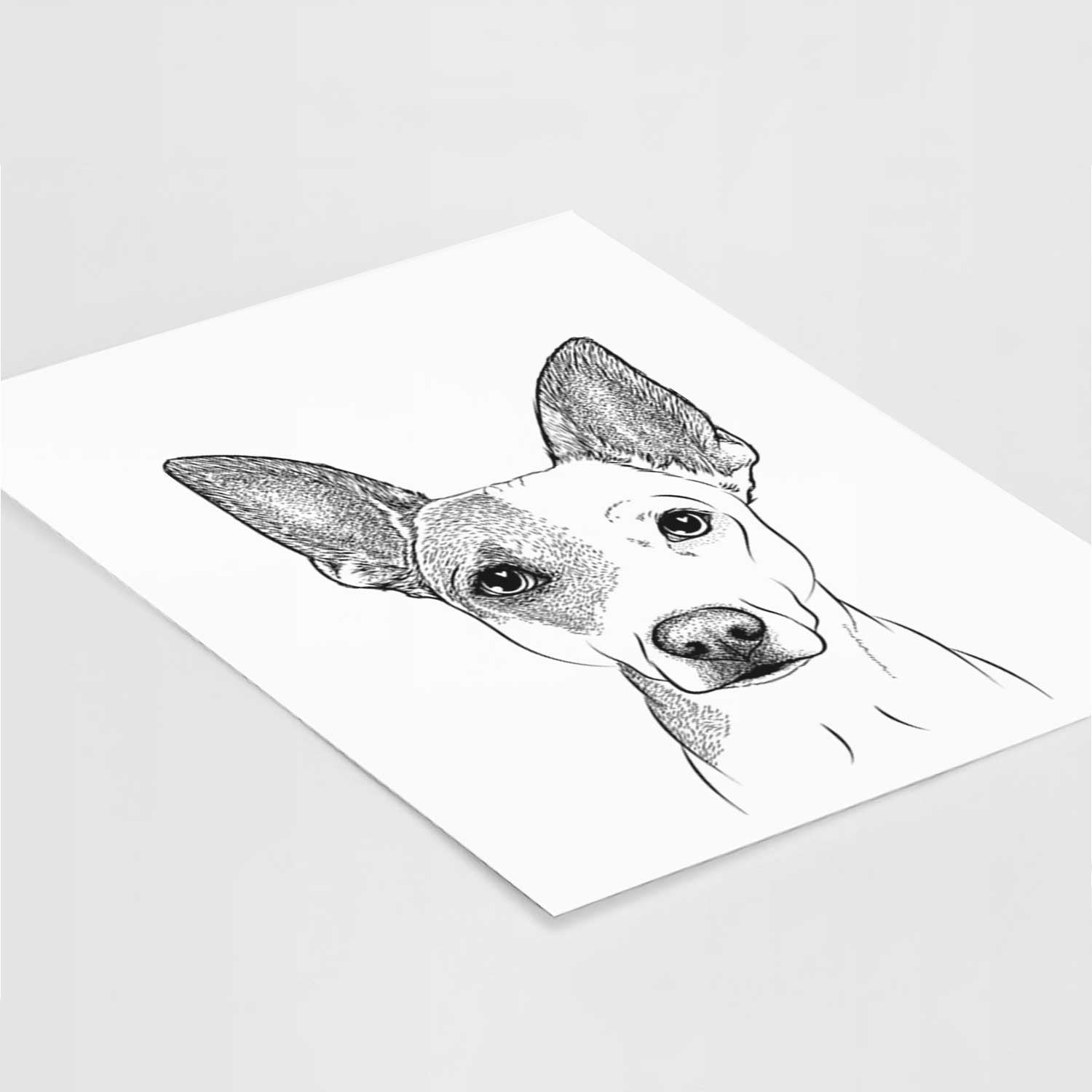 Roo the Mixed Breed Art Print