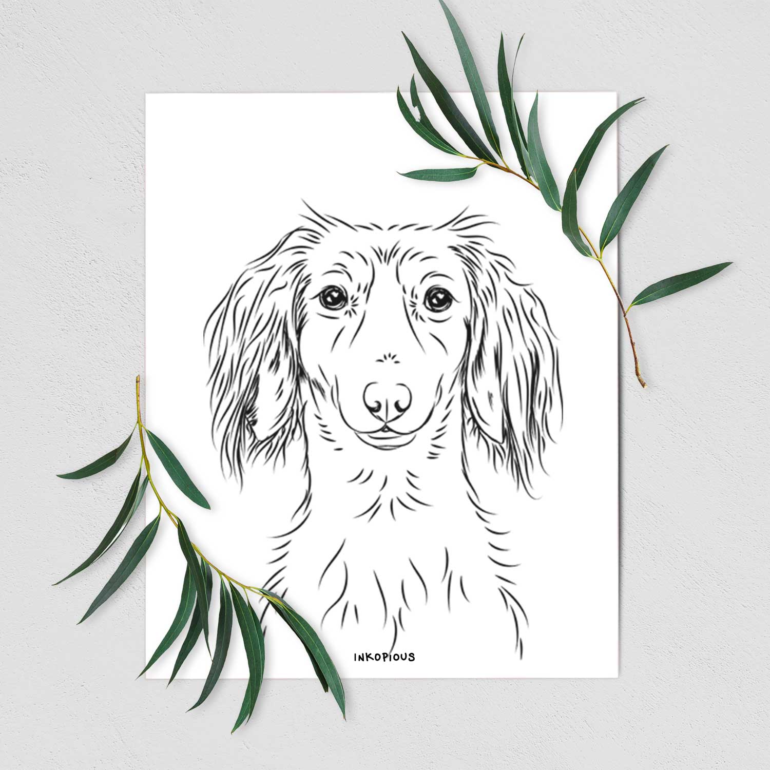 Roux the Long Haired Dachshund Art Print