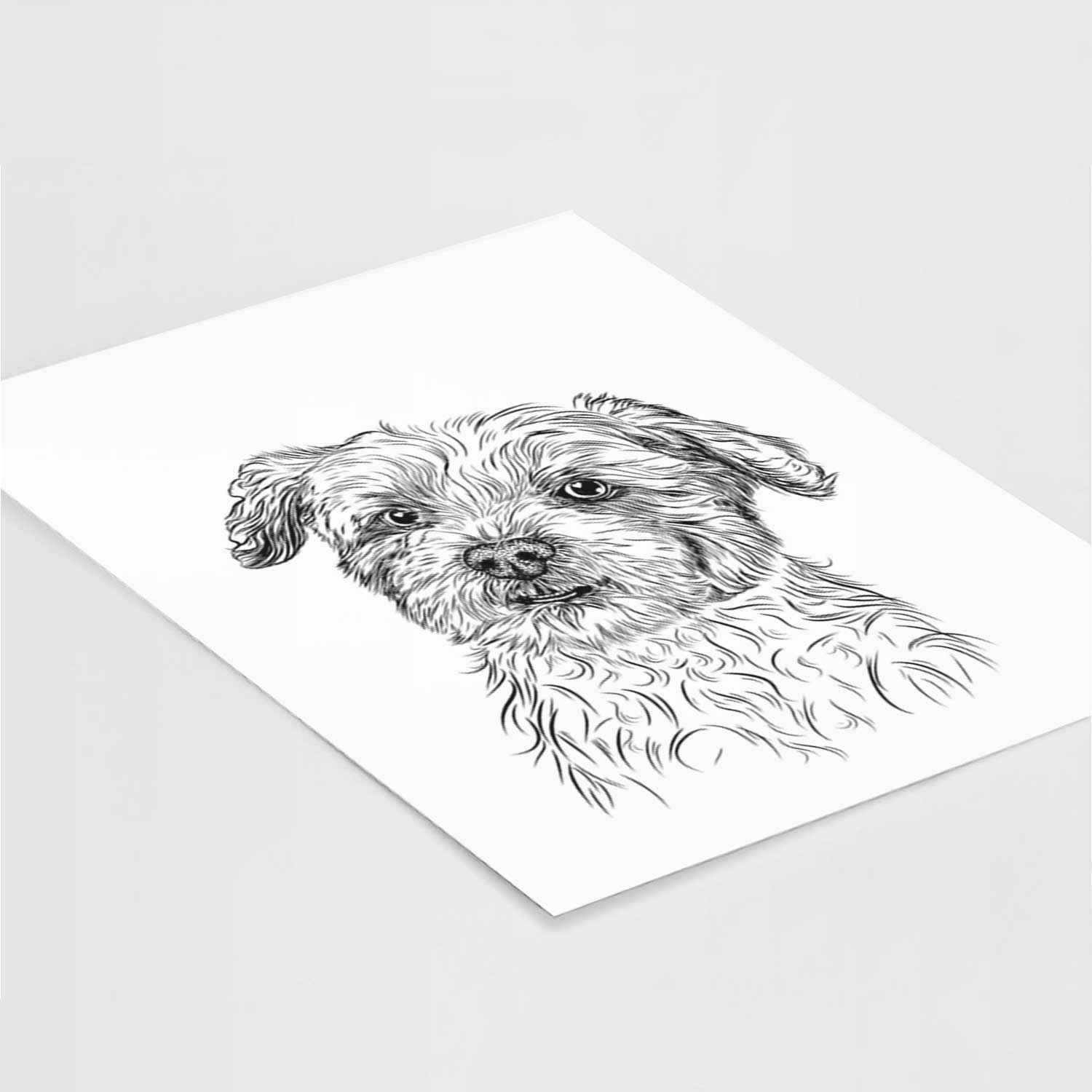 Roxie the Schnauzer Shih Tzu Mix Art Print