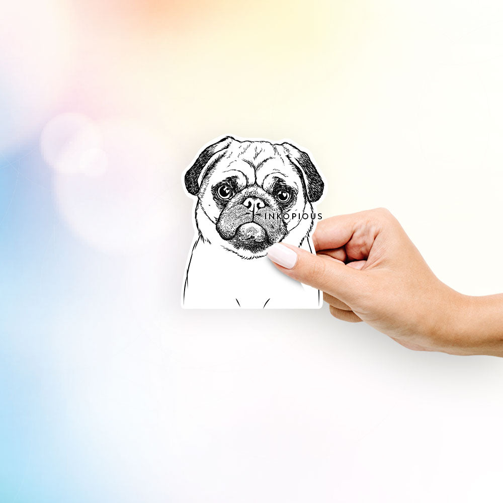 Hand-drawn sketch of Ruby the Pug on a decal sticker