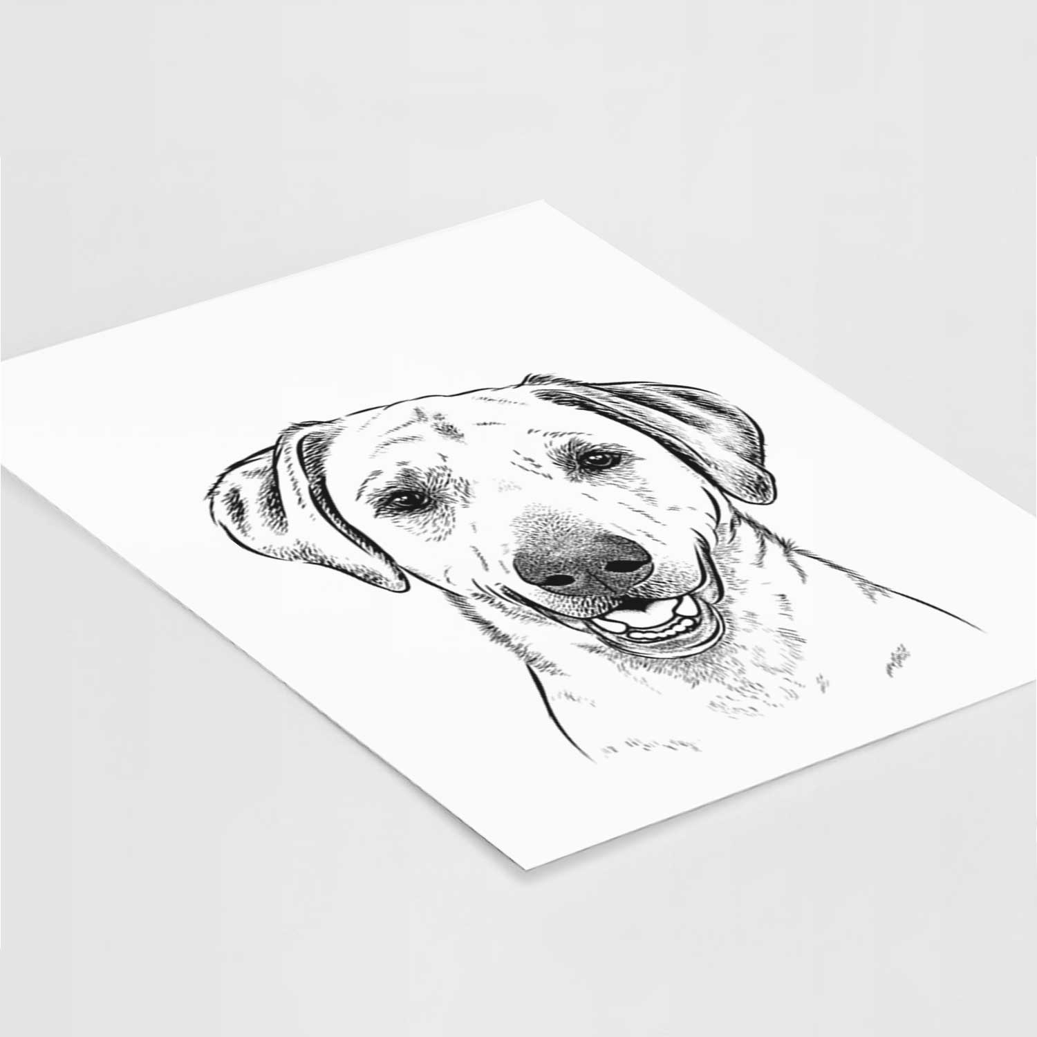 Rusty the Labrador Retriever Art Print