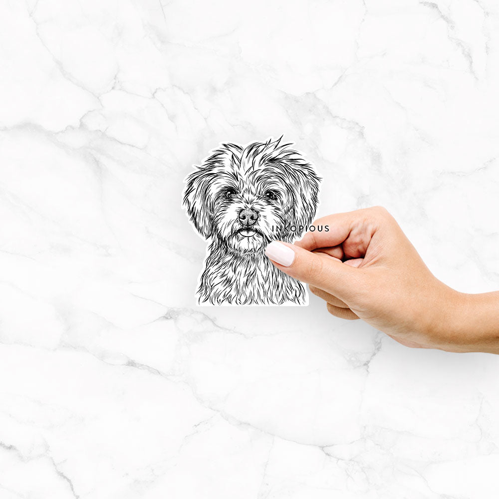 Hand-drawn sketch of Sammy the Shorkie on a decal sticker