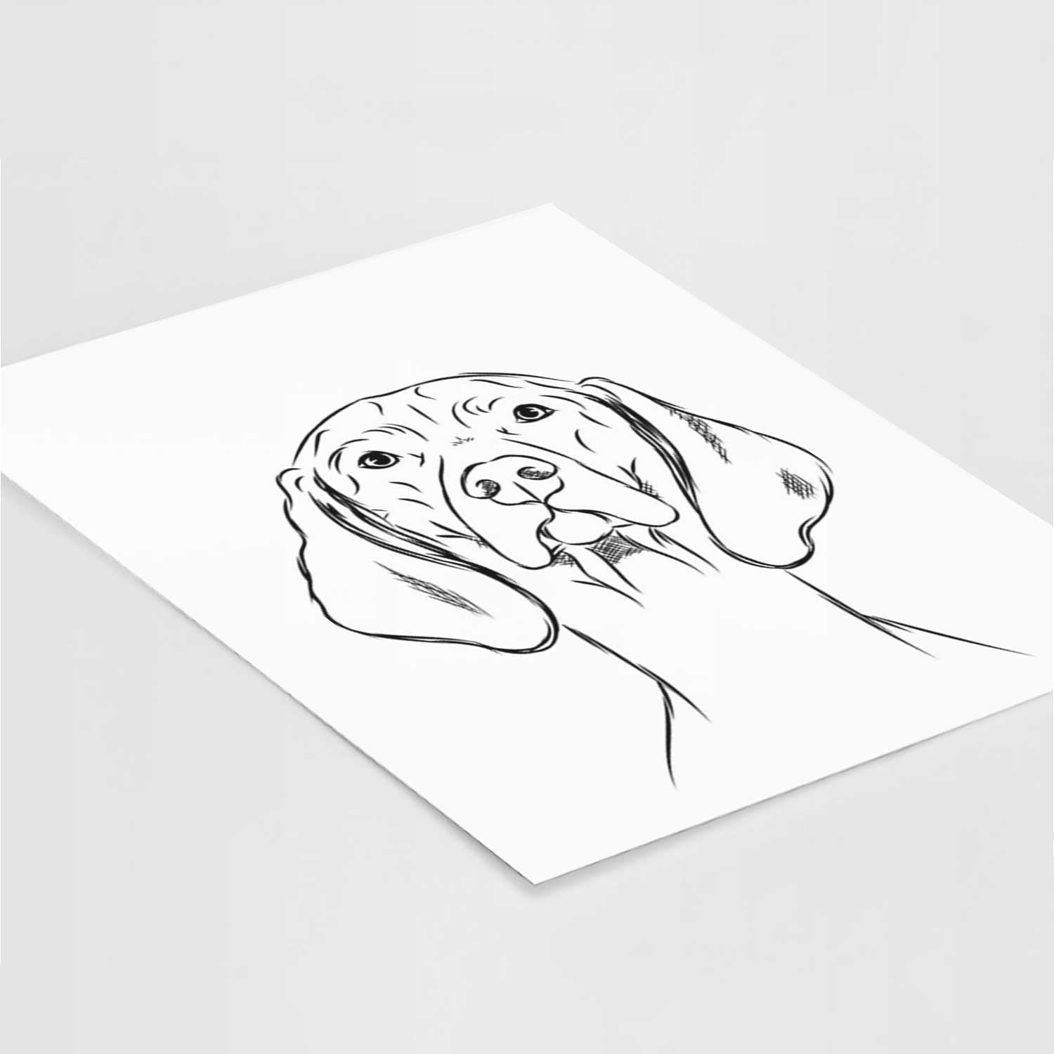 Sawyer the Vizsla Art Print