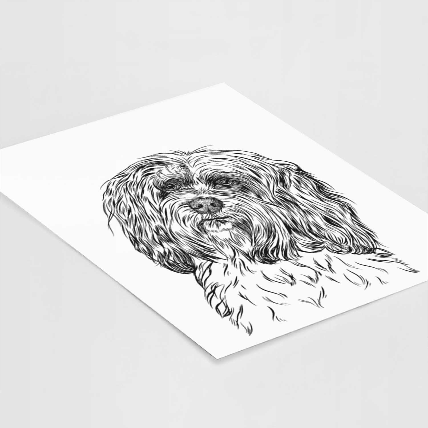 Shenpa the Tibetan Terrier Art Print