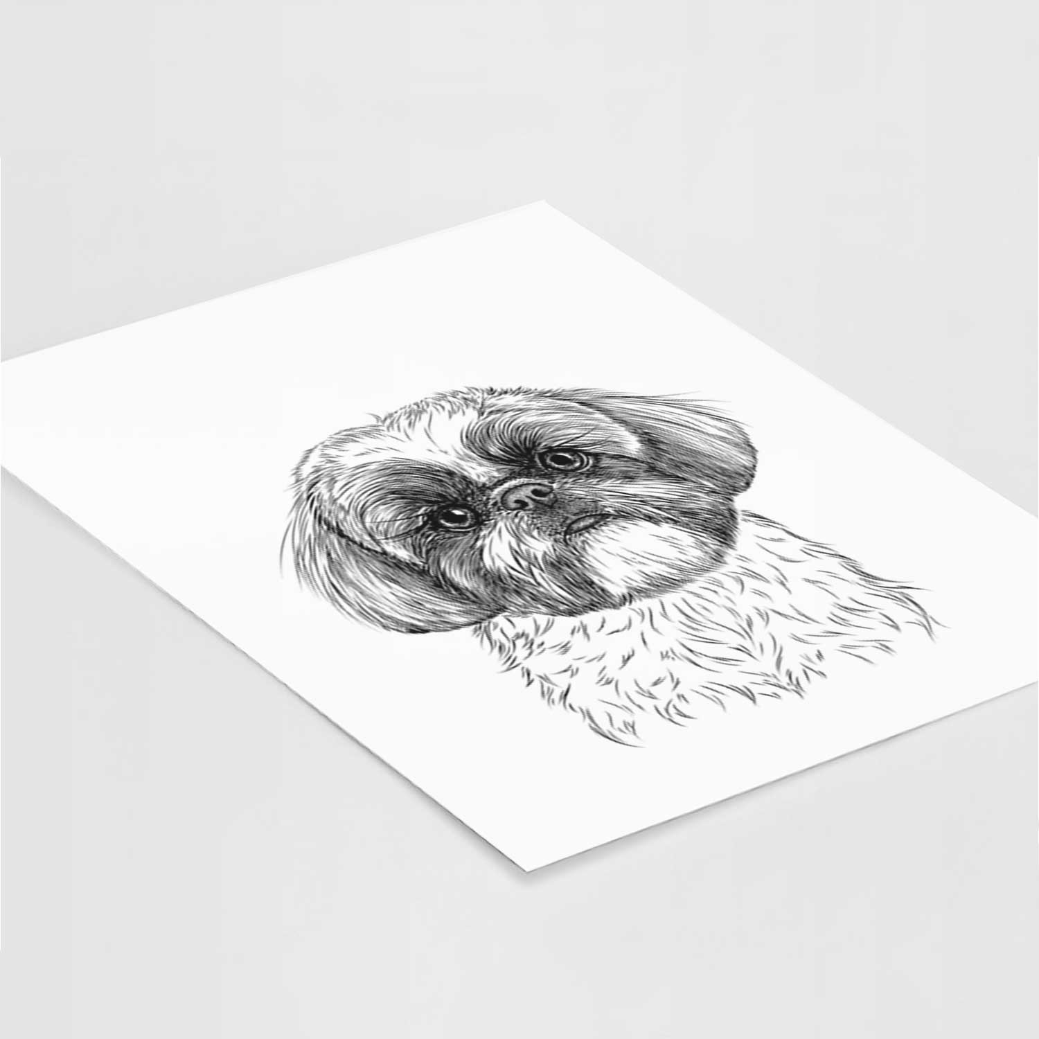 Simon the Shih Tzu Art Print