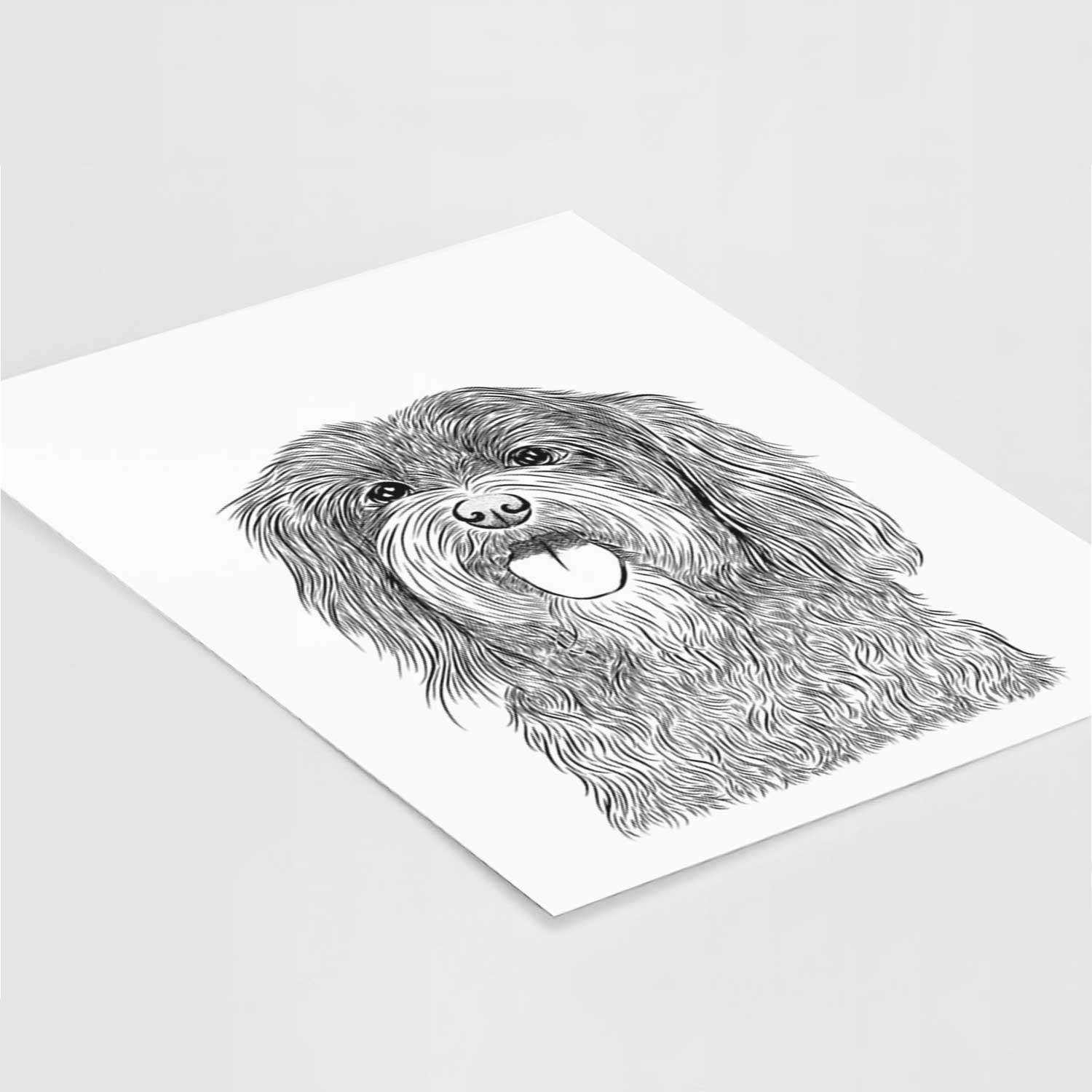 Sophie the Havanese Art Print