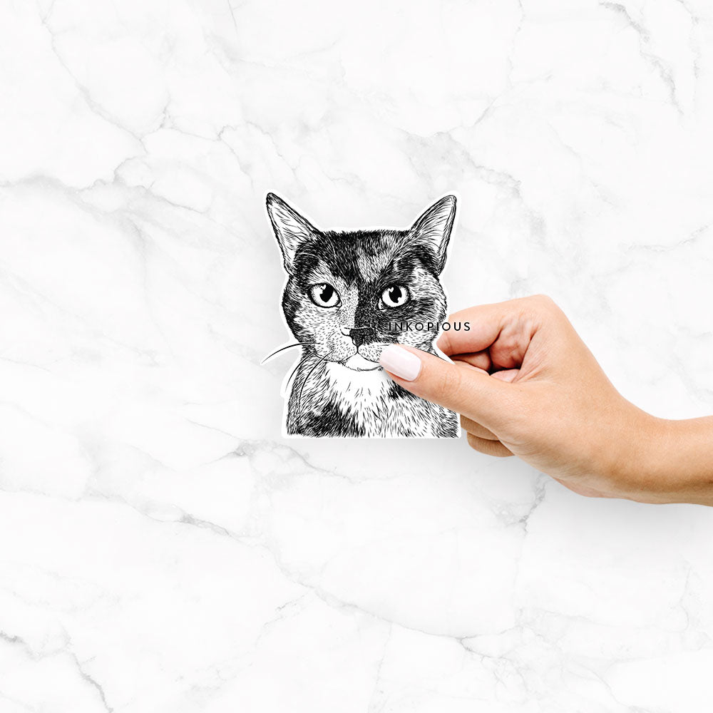 Hand-drawn sketch of Spooky Kitty the Tortoiseshell Cat on a decal sticker